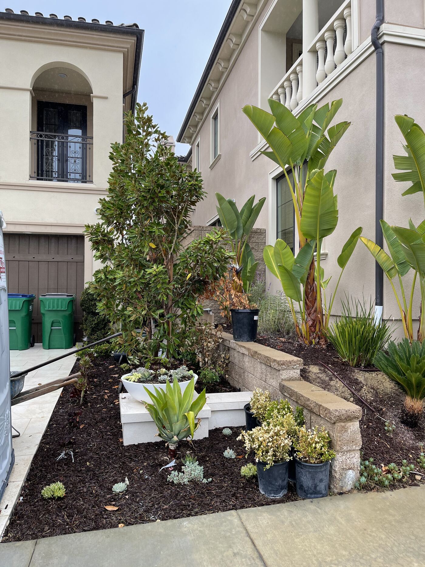 Front yard planting day