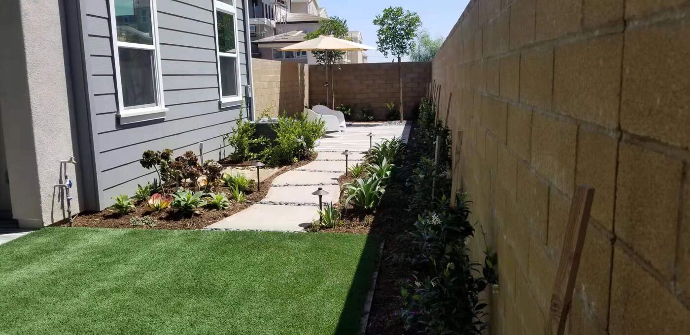 Planted side yard path